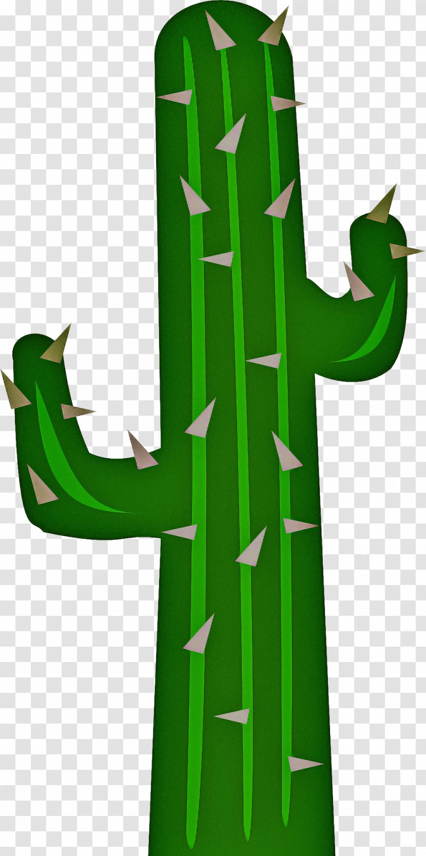 Cactus - Plant - Symbol Succulent Transparent PNG