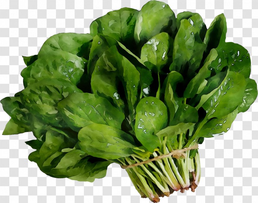 Vegetable Spinach Salad Food Amaranth - Ingredient Transparent PNG