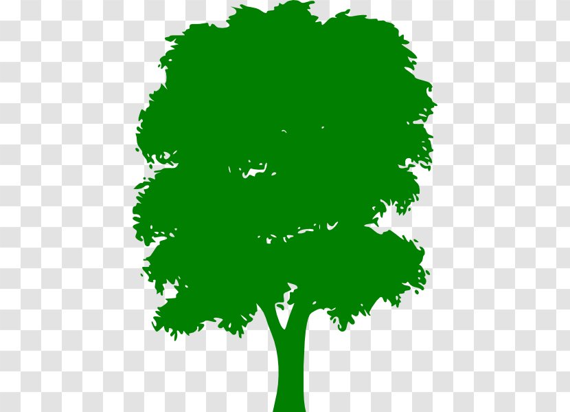 Tree Green Clip Art - Free Content - Cliparts Transparent PNG