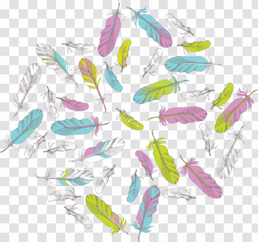 Bird Feather Color - Painted Colorful Feathers Vector Material Transparent PNG