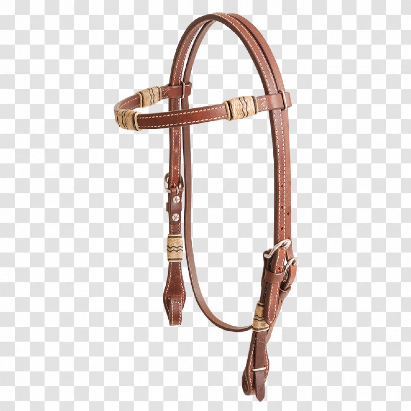 Bridle Inlay Rein Rawhide Sport - Nylon - Equitation Transparent PNG
