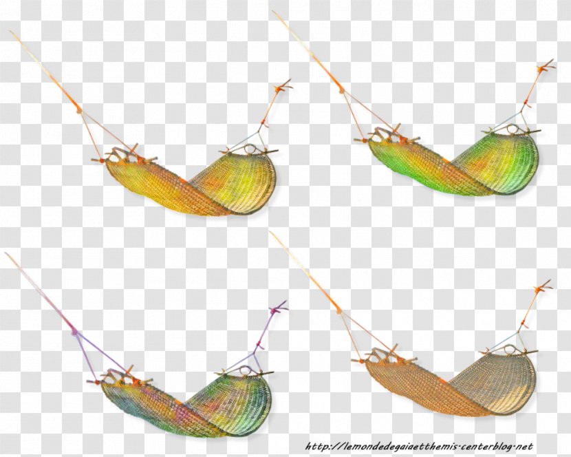 Insect - Organism Transparent PNG