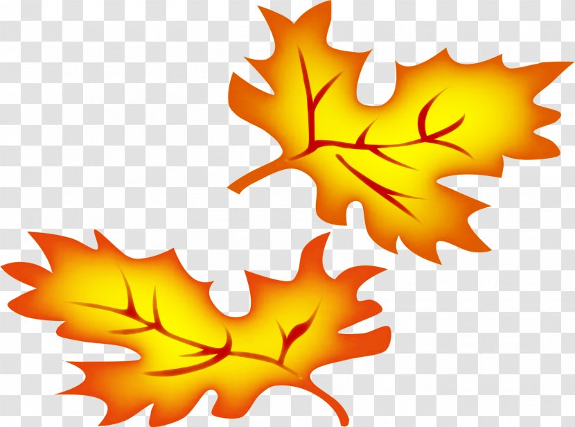 Autumn Leaf Color Clip Art - Yellow - Fall Leaves Clipart Transparent PNG