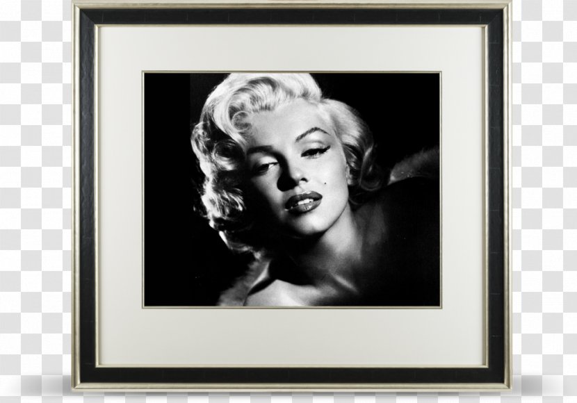 Marilyn Monroe Hollywood Poster Photography - Silhouette Transparent PNG