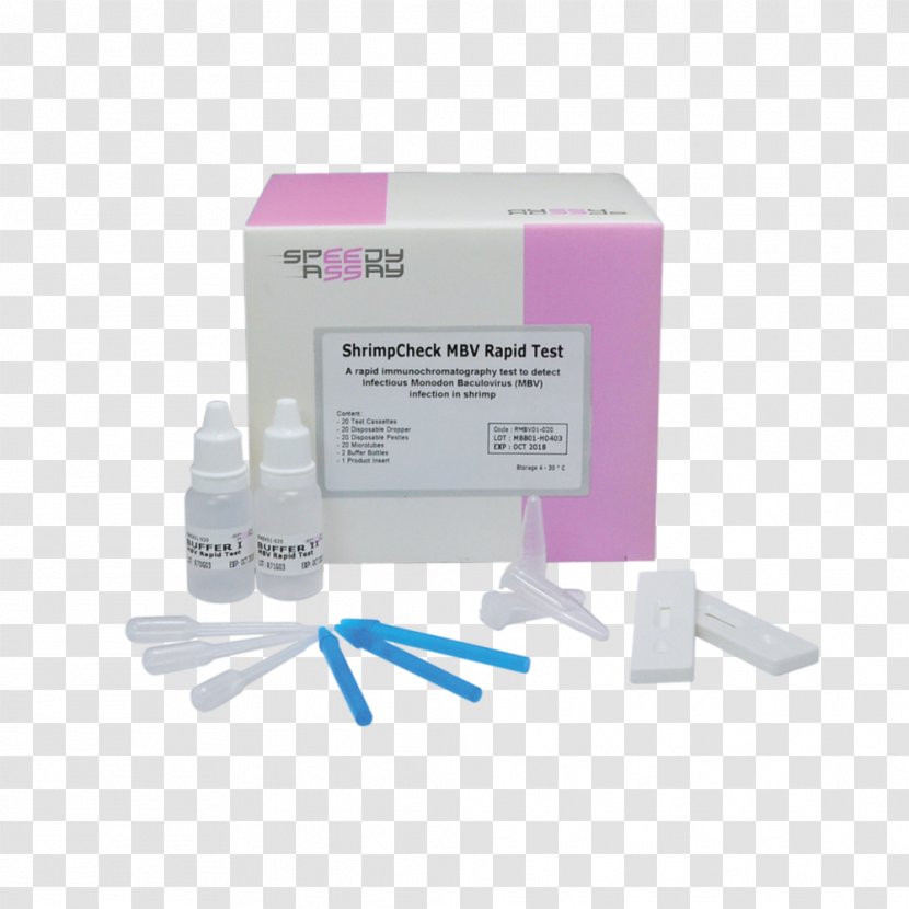 Rapid Diagnostic Test Real-time Polymerase Chain Reaction DNA Extraction - Dna - Asia Transparent PNG