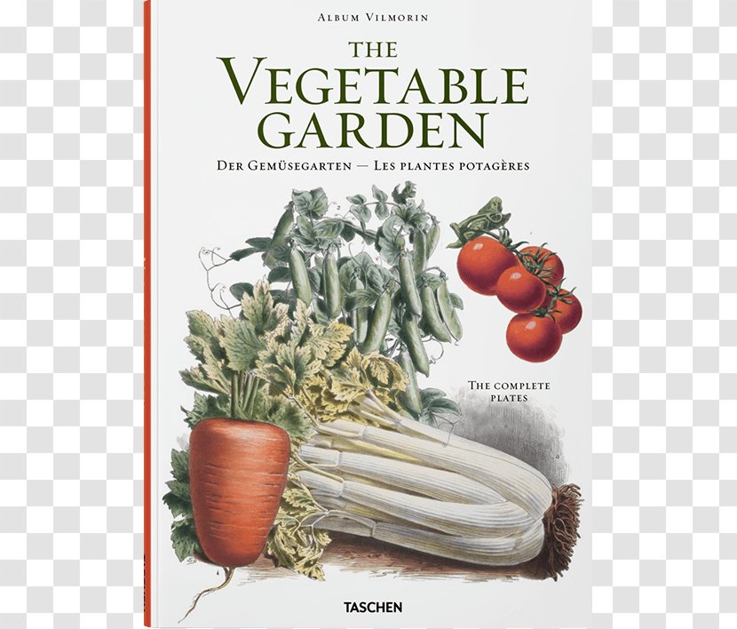 Gemüsegarten Vegetable Garden Vilmorin Amazon.com - Kitchen - VEGETABLE GARDEN Transparent PNG