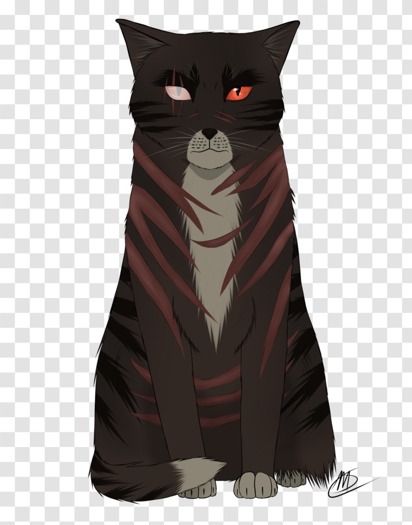 Whiskers Cat Illustration Outerwear Character Transparent PNG