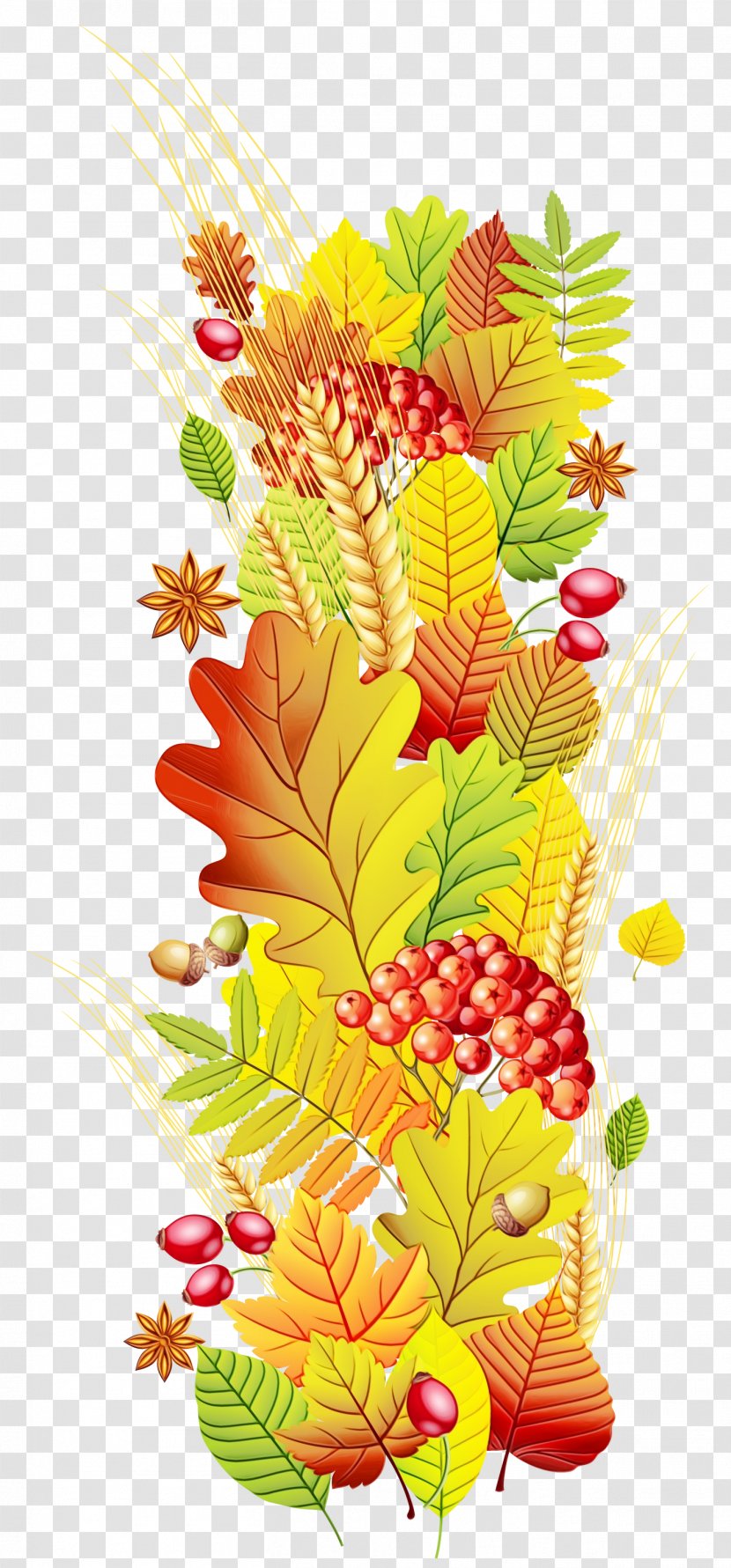 Autumn Leaf Drawing - Flower - Tree Transparent PNG