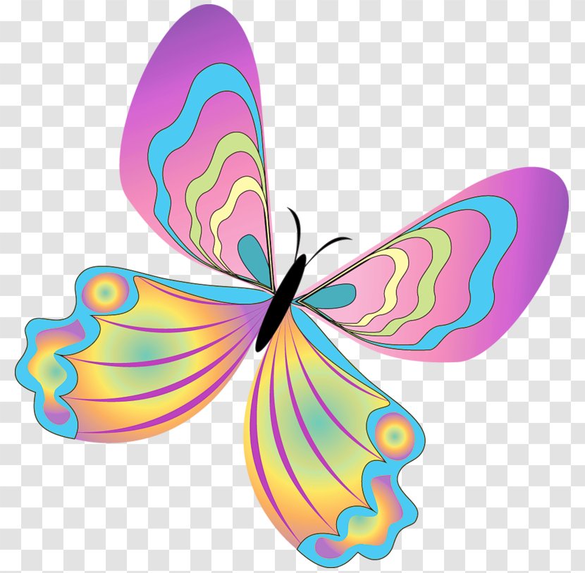 Butterfly Clip Art - Greta Oto - Painted Clipart Transparent PNG