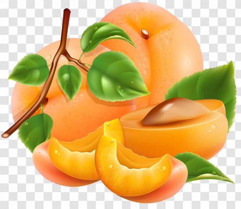 Juice Peach Fruit - Photography - Apricot Transparent PNG