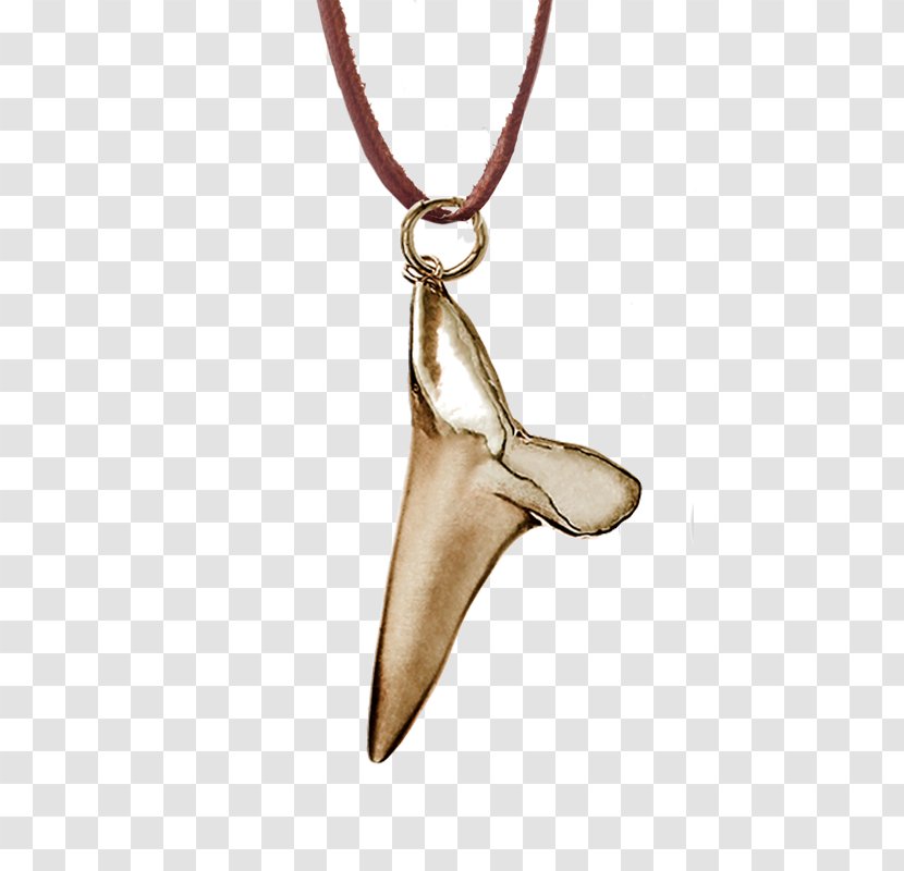 Charms & Pendants Shark Tooth Jewellery Necklace - Leather Transparent PNG