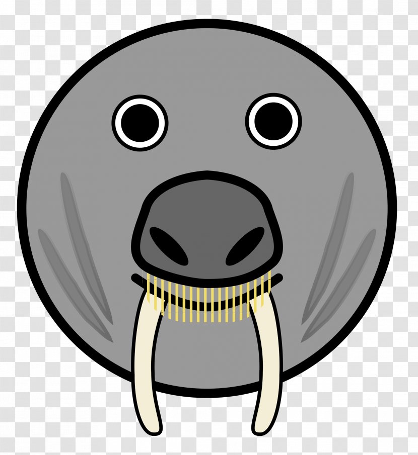 Pinniped Face Cartoon Clip Art - Drawing - Walrus Transparent PNG