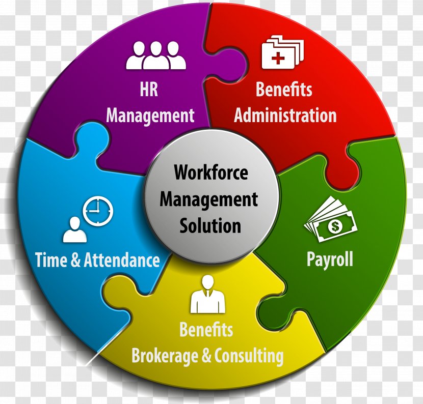 Workforce Management Organization Human Resource Consulting - Brand - Shutterstock Transparent PNG
