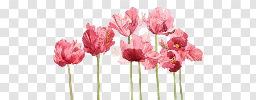 Watercolor Painting Tulip Watercolor: Flowers Art - Stencil Transparent PNG