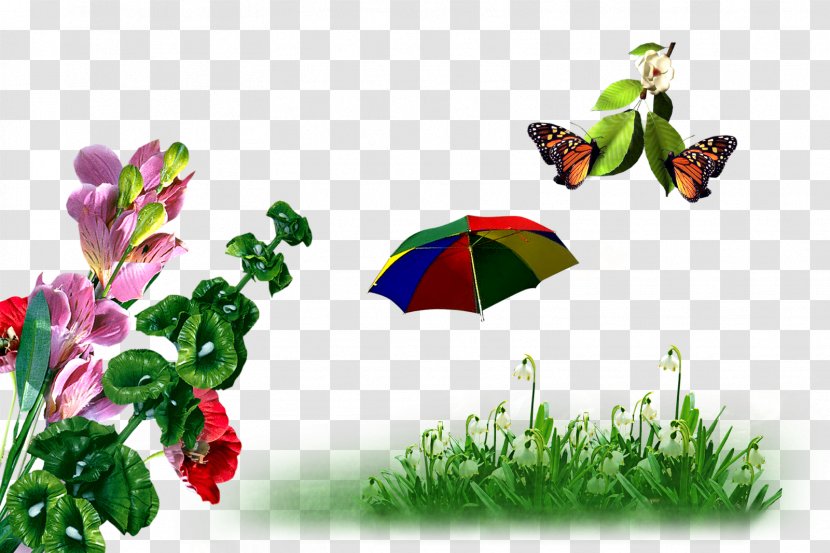 Song - Moths And Butterflies - Fillings Transparent PNG