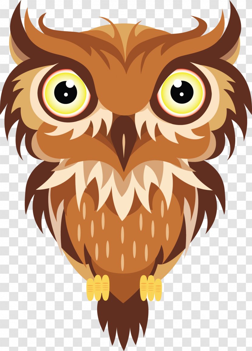 Vector Owl - Royalty Free Transparent PNG
