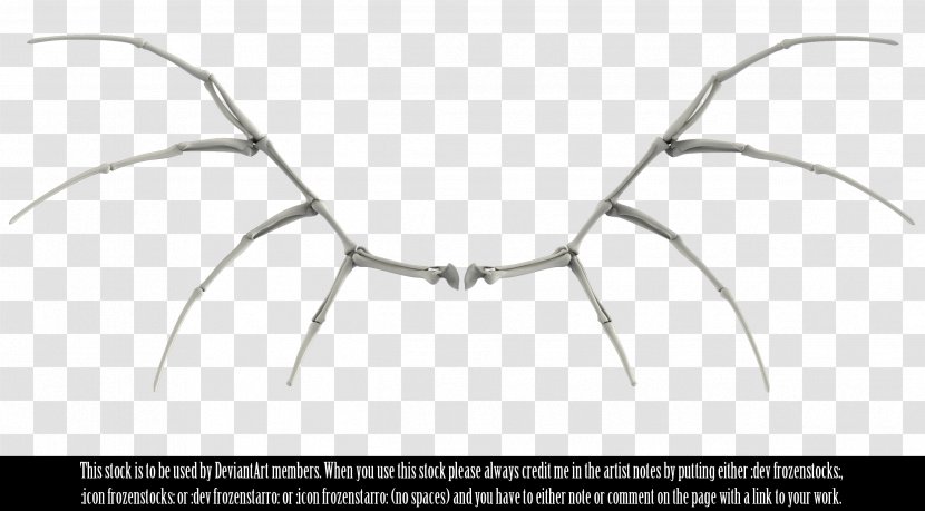 Bone Human Skeleton Image Bird - Metal Wings Transparent PNG