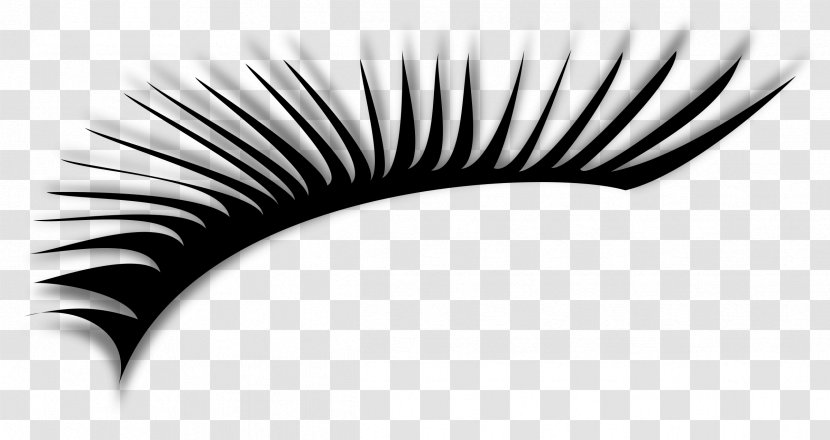 Eyelash Extensions Clip Art - Cartoon - Eyelashes Transparent PNG