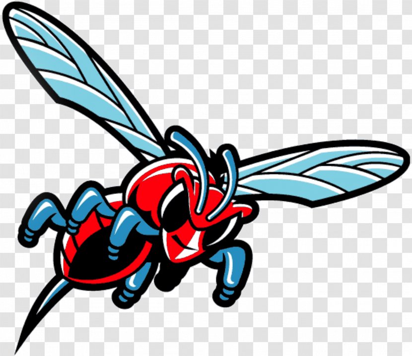 Delaware State University Hornets Football Division I (NCAA) Clip Art - Membrane Winged Insect - 22 Hornet Transparent PNG