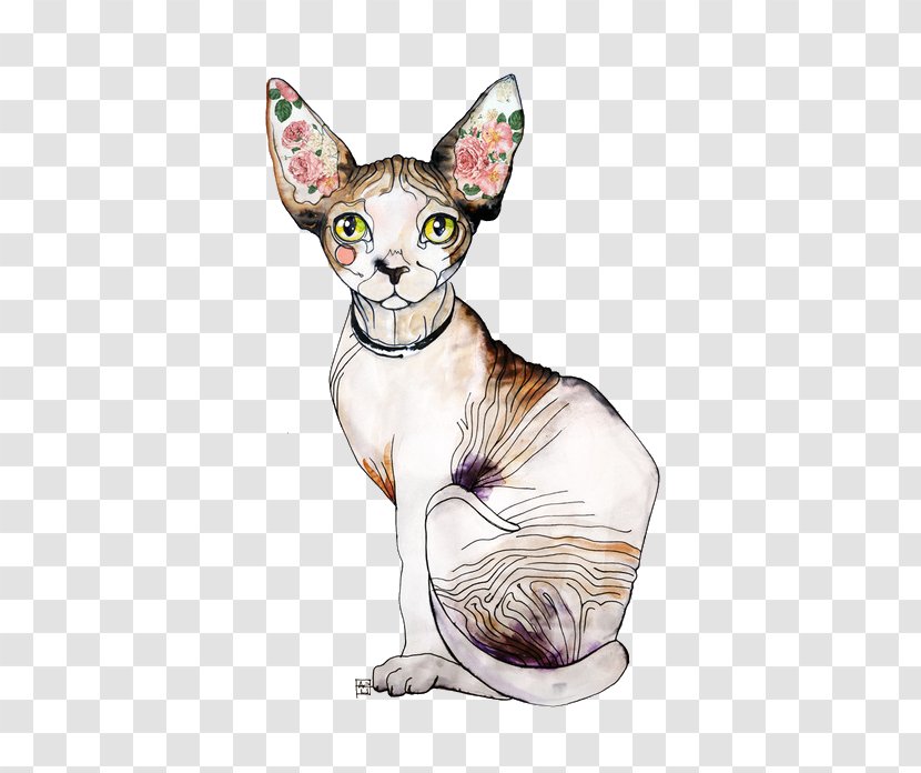 Sphynx Cat Donskoy Kitten Peterbald Persian Transparent PNG