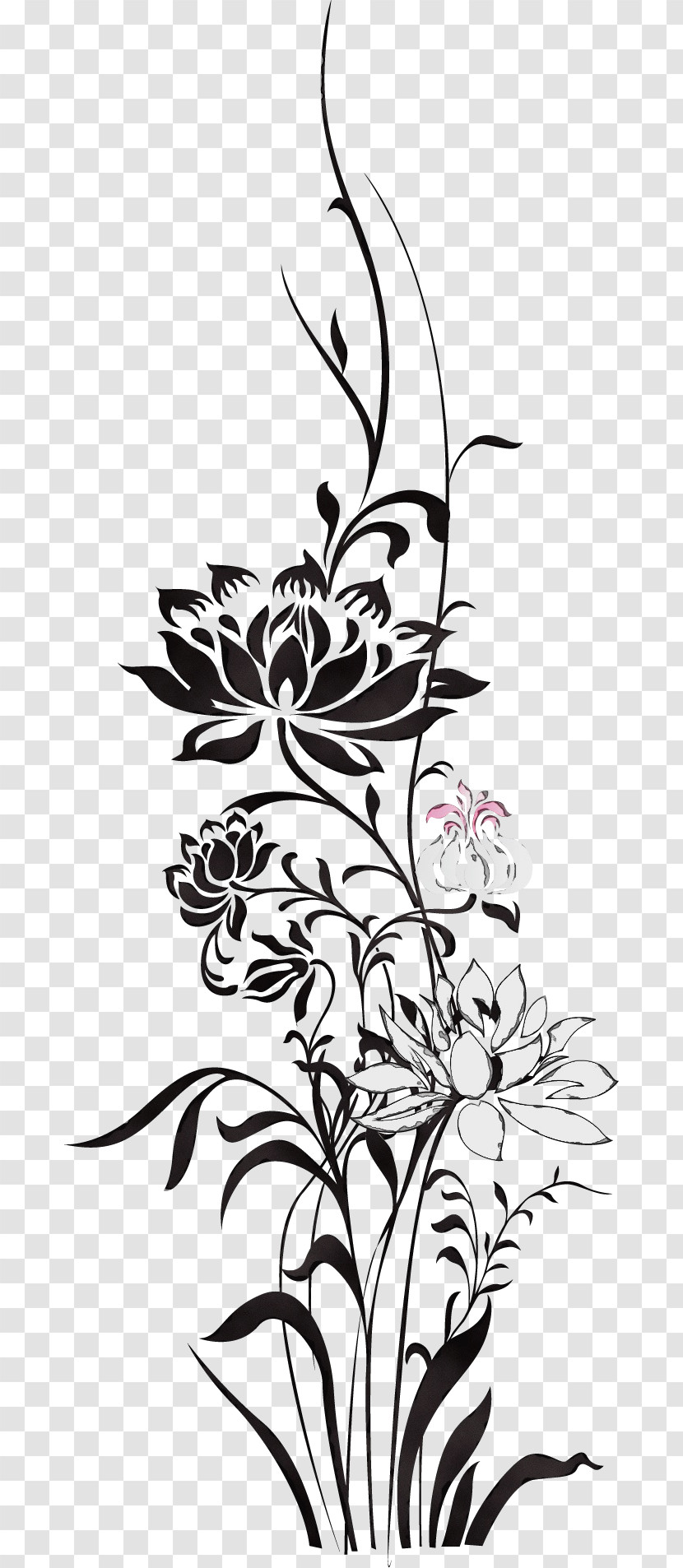 Floral Design Transparent PNG