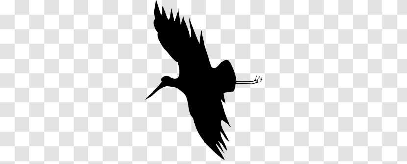 Silhouette Crane Bird Clip Art - Organism - Stork Transparent PNG