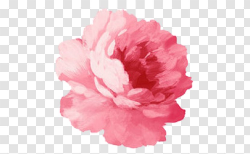 Paper Pink Flowers Sticker - Watercolor Painting - Flower Transparent PNG
