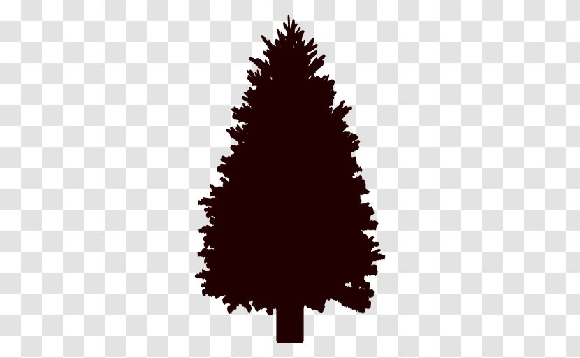 Pinus Palustris Scots Pine Tree Clip Art - Eastern White - Vector Transparent PNG