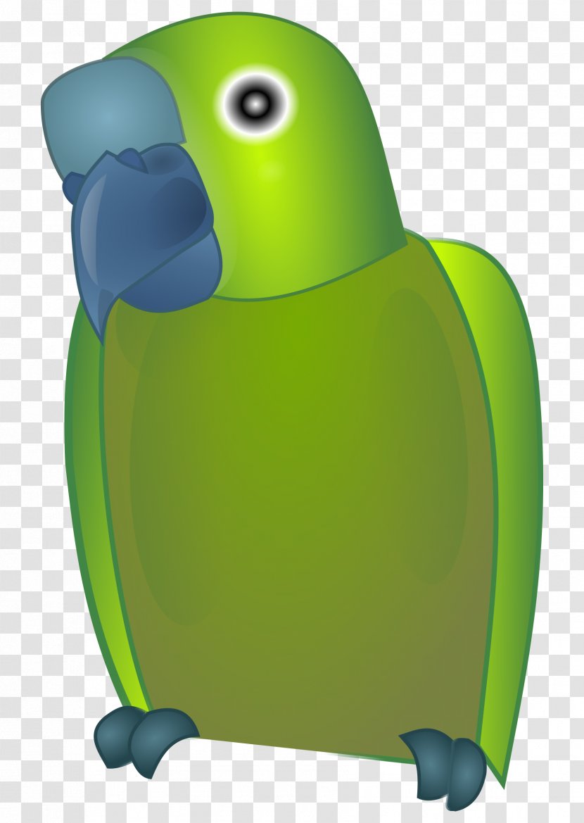 Bird Desktop Wallpaper Parrot Clip Art - Beak - Seller Transparent PNG