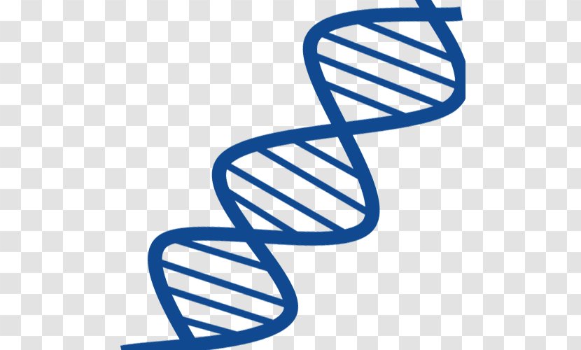 DNA Nucleic Acid Double Helix Gene RNA Structure - Shoe - Blue Chain Transparent PNG