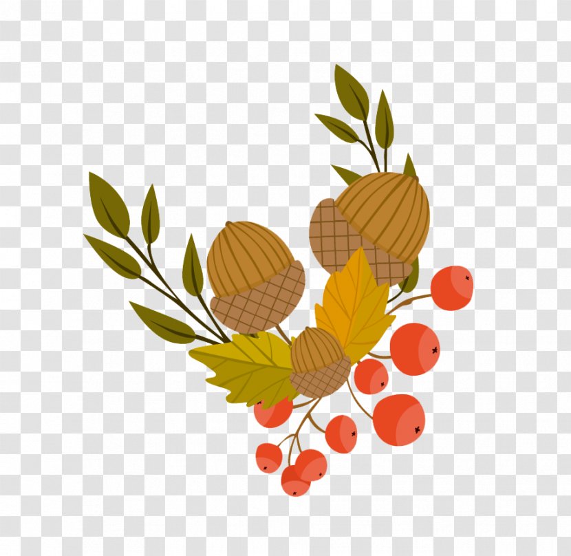 Autumn Leaf Color Illustration - Fruit - Acorn Transparent PNG