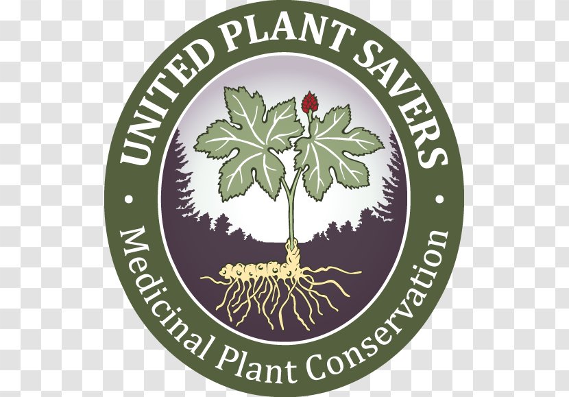 United Plant Savers Medicinal Plants States Goldenseal - Label Transparent PNG