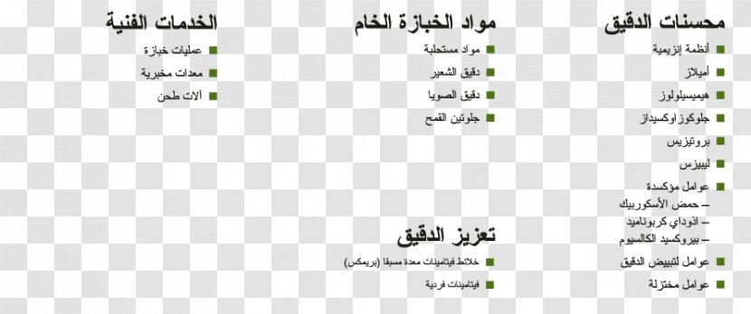 Document Line Angle Plant Brand - Paper - Arabic Text Transparent PNG