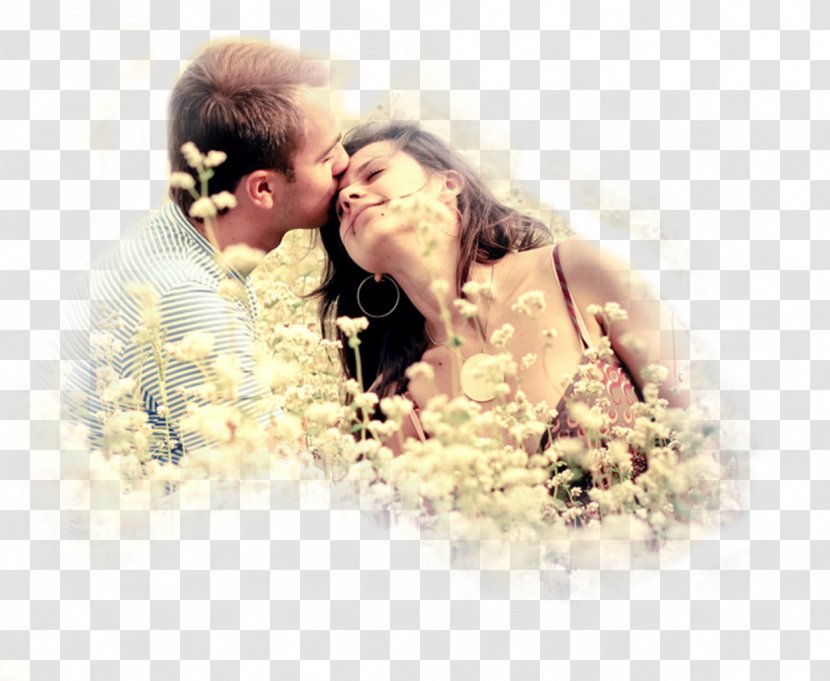 Romance Film Desktop Wallpaper Drawing - Love - Romantic Transparent PNG