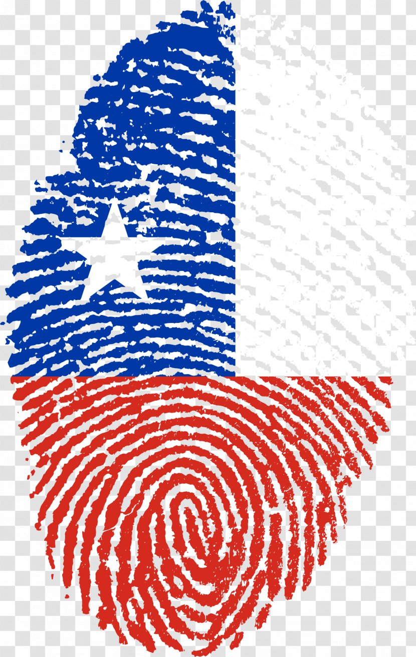 Flag Of Haiti Colombia The United Arab Emirates Syria - Symmetry - Fingerprints Transparent PNG