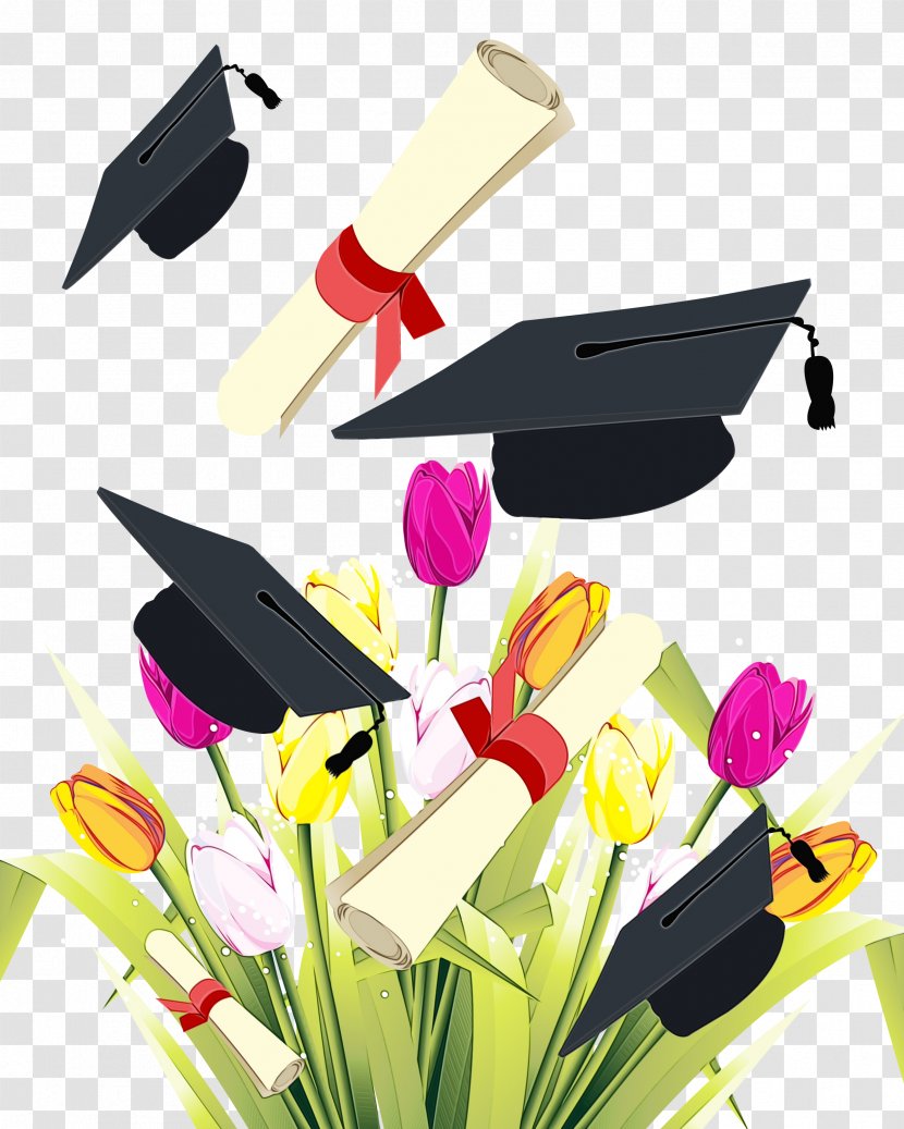 Square Academic Cap Graduation Ceremony Diploma Degree - Anthurium - Graduate Transparent PNG