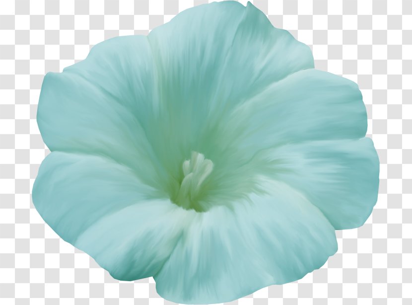 Flower Petal Floral Design Poppy Blue - Plant Transparent PNG