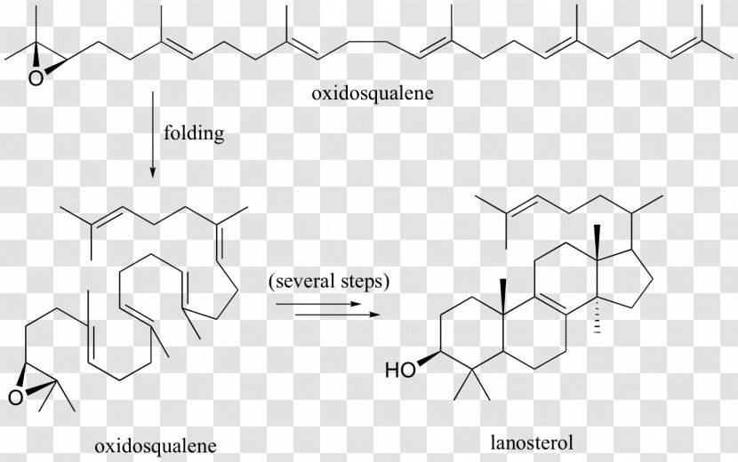 Drawing Document Line White - Symmetry Transparent PNG