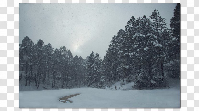 Blizzard Snow Frost Desktop Wallpaper Mist - White Transparent PNG
