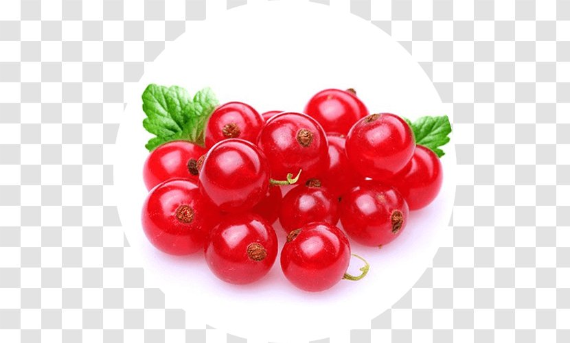 Redcurrant Blackcurrant Fruit Gelatin Dessert Berry - Local Food - RedBerry Transparent PNG