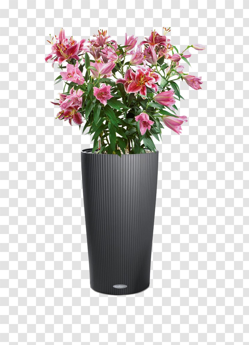Flowerpot Cottage Little Owl Houseplant Cachepot - Vase Transparent PNG