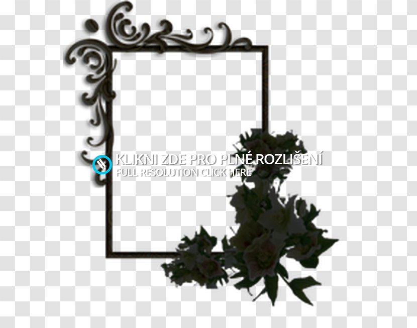 Picture Frames Leaf Font - Frame Transparent PNG