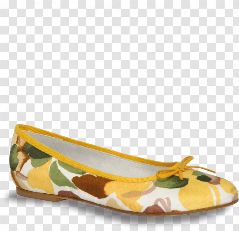 Ballet Flat Shoe - Frame Transparent PNG