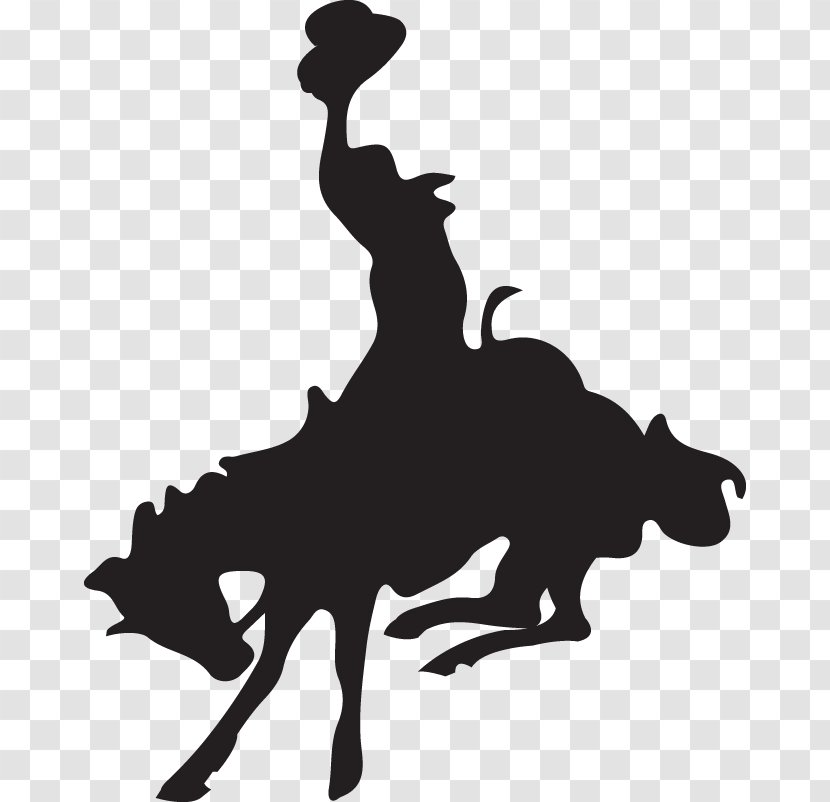Horse Cody Night Rodeo Silhouette Black Clip Art - White - Bucking Transparent PNG