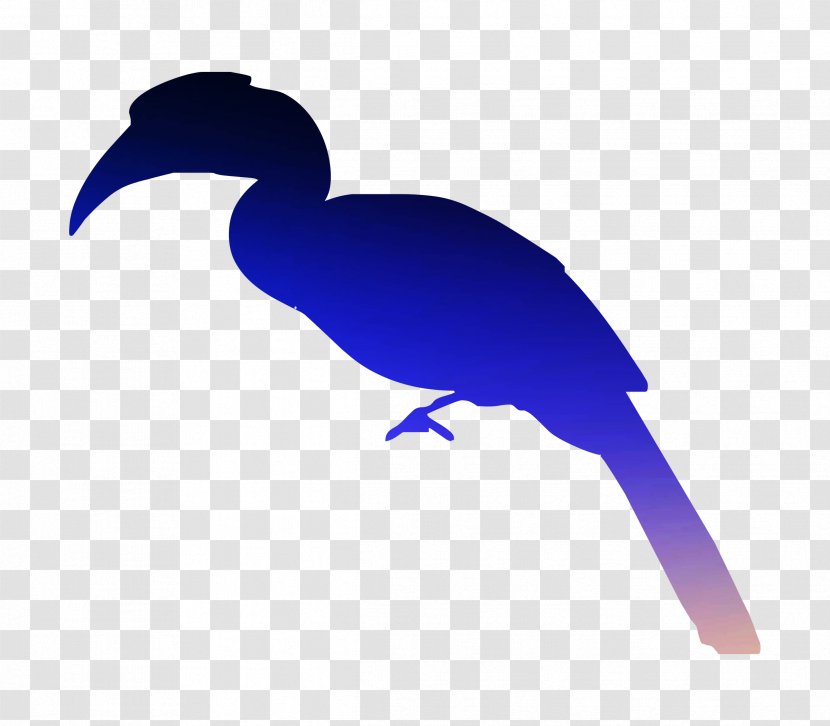 Clip Art Cygnini Goose Beak Duck Transparent PNG