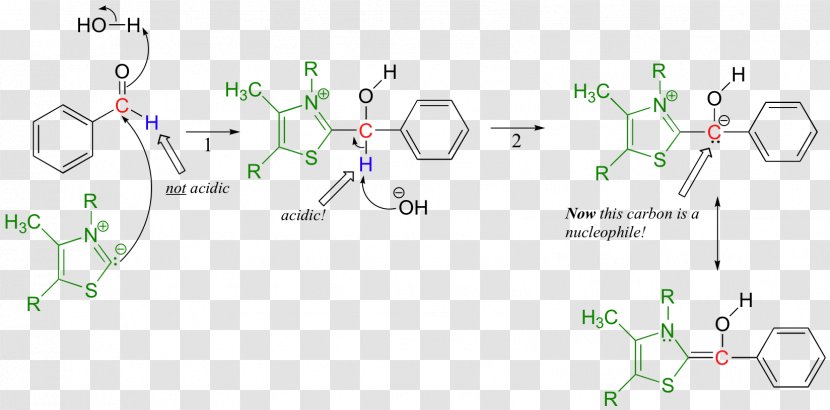Chemical Compound Chemistry Reaction Acid–base Acid-base Extraction - Plant - Thiamine Pyrophosphate Transparent PNG