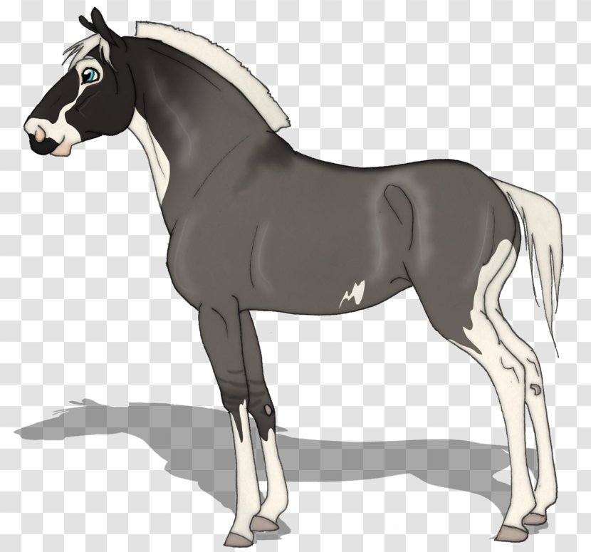 Foal Mane Stallion Mare Mustang - Halter Transparent PNG