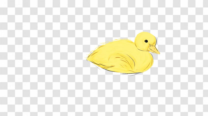 Duck Yellow Beak Transparent PNG