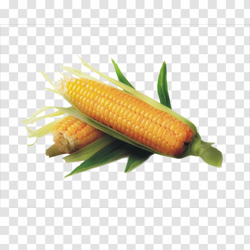 Maize Corncob Icon - Corn On The Cob Transparent PNG