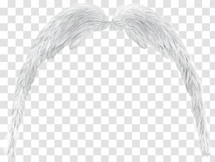 Angel Wing Butterfly - Feather - Maximo Transparent PNG